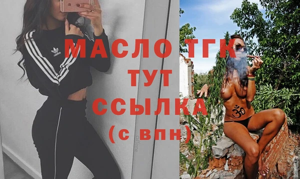 молекула духа Горняк