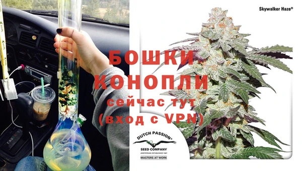 2c-b Горнозаводск