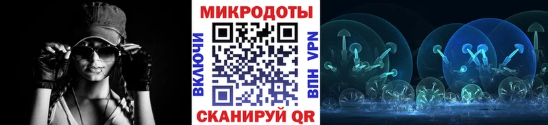 Галлюциногенные грибы Psilocybine cubensis  Купить  Чудово 